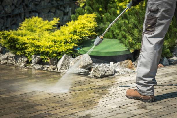 Best Gutter Cleaning  in Milton, WV
