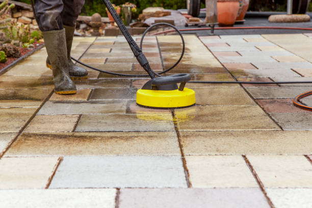 Animal Enclosure Cleaning in Milton, WV