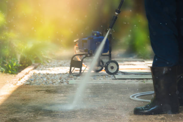 Best Solar Panel Cleaning  in Milton, WV
